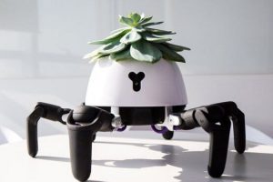 This Little Robot Helps Keep Your Plants Alive And Throws A Tantrum When It Needs Water